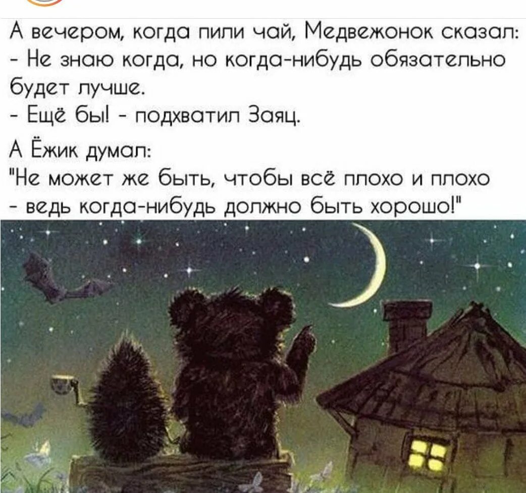 Ежик стирает тряпочку. Ёжик и медвежонок цитаты. а вечером когда пили чай медвежонок сказал. цитаты из ежика и медвежонка. цитаты про вечер.