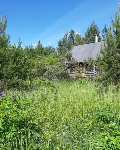 Йошкар ола снт купить. СНТ Новотроицк Марий Эл. СНТ Новотроицк Йошкар. СНТ Новотроицк озеро. Сады Новотроицк Йошкар-Ола.