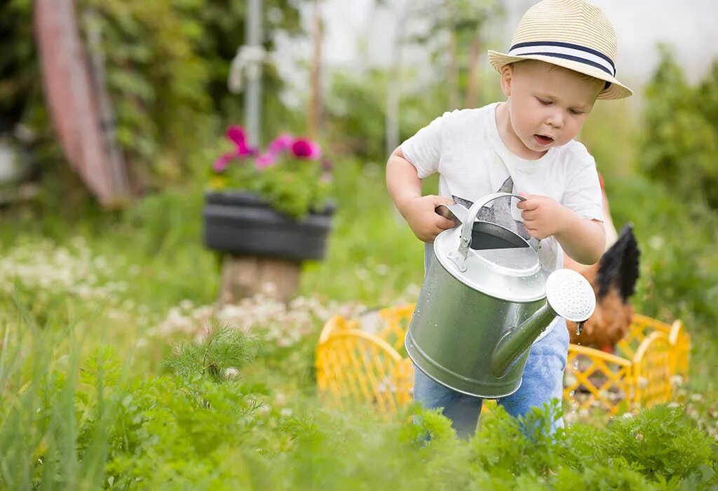 We were watering the plants. Огород для детей. Лейка для детей. Малыши на даче. Дети в огороде с лейкой.