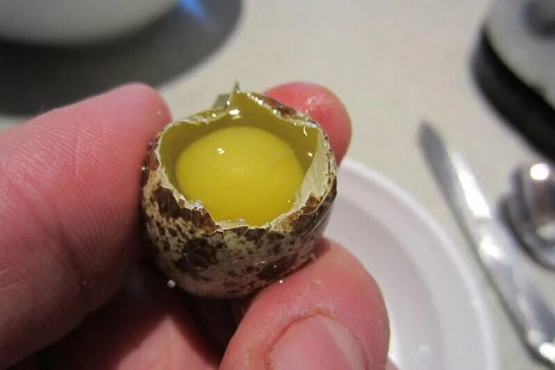 Зачем пьют сырые. Перепелиные яйца сырые. Сырое яйцо. Яйцо перепелиное. Куриные и перепелиные яйца.