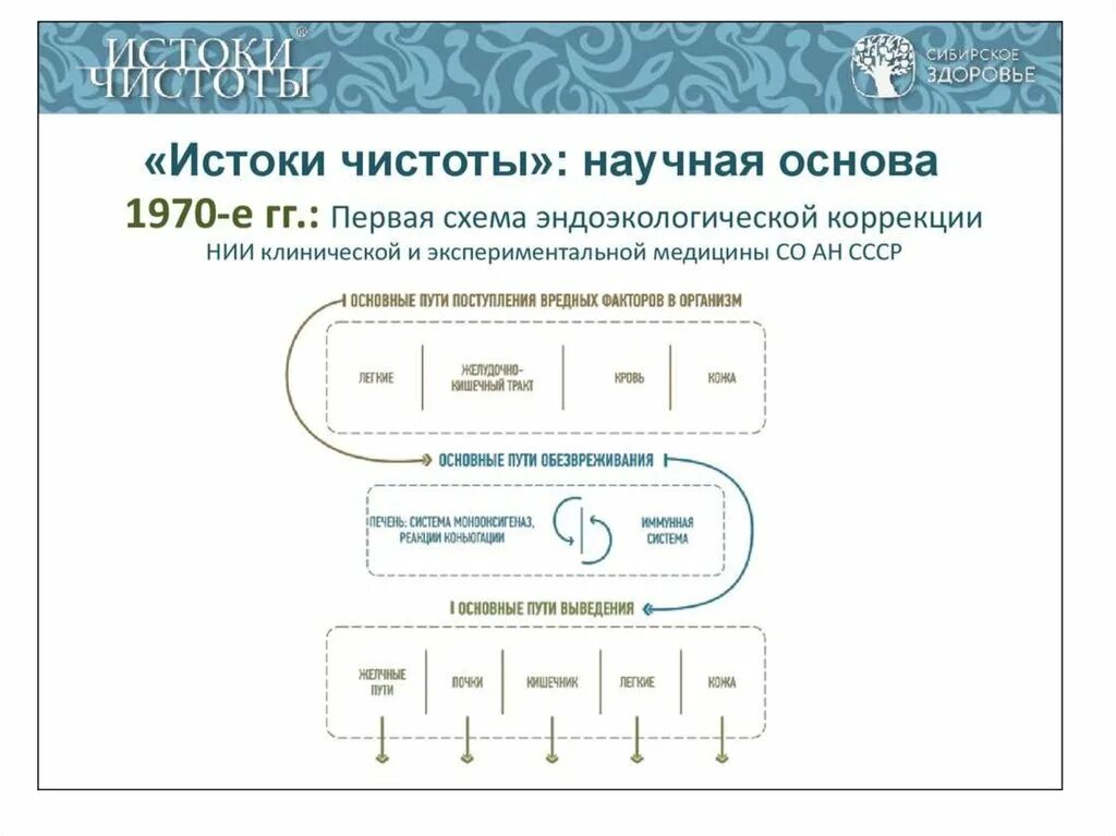Истоки чистоты сибирское инструкция по применению. Истоки чистоты сибирское. истоки чистоты схема. истоки чистоты сибирское здоровье. истоки чистоты сибирское здоровье состав.