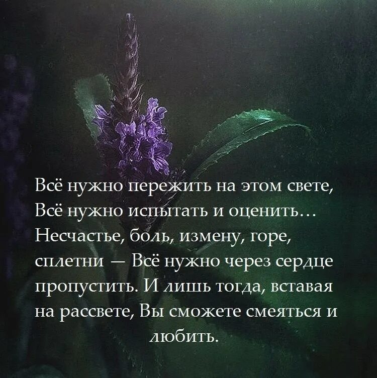 Несчастье сообщать. Афоризмы про переживания. Цитаты о волнении и переживании. Цитаты про переживания. Все нужно в жизни пережить стихи.