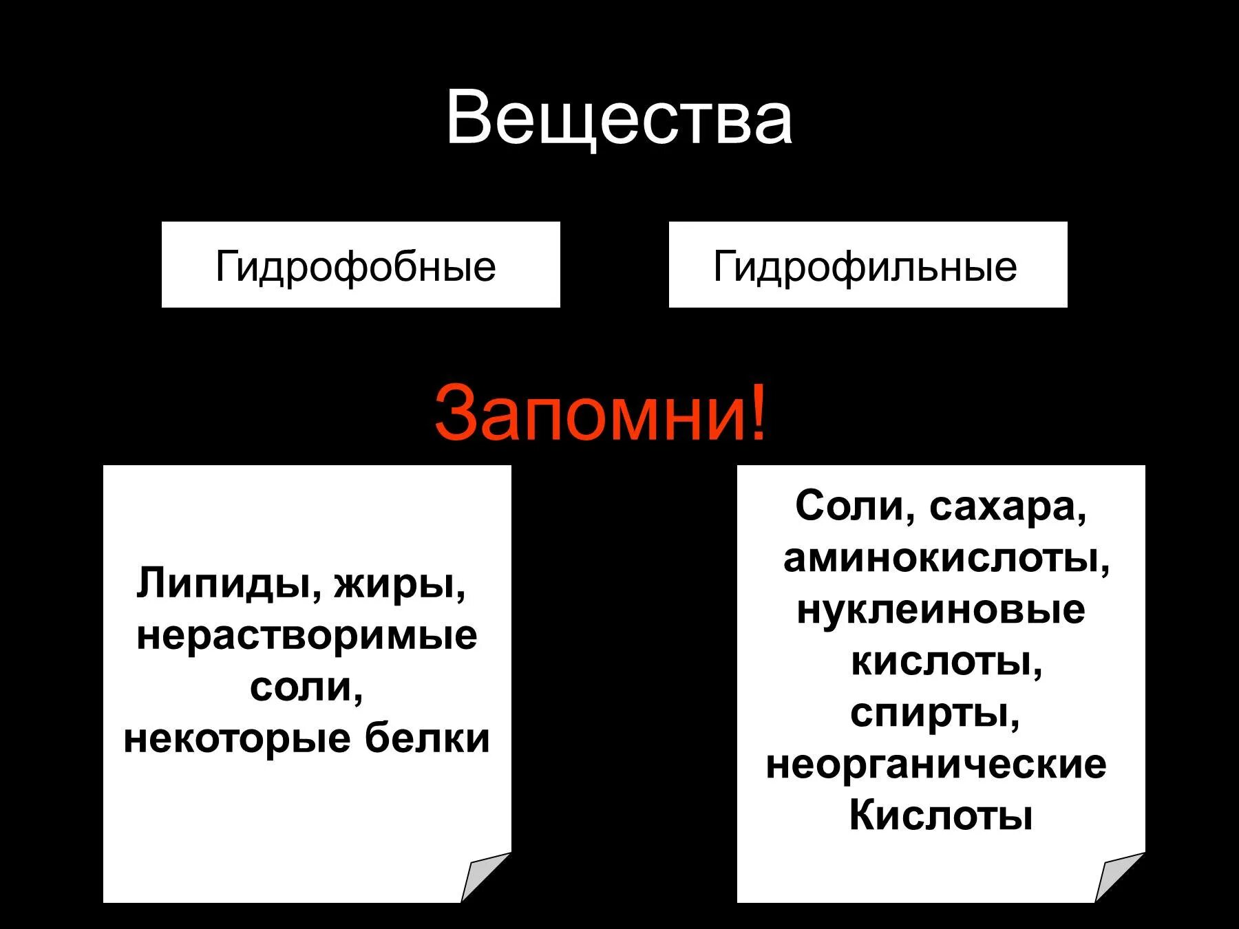 Гидрофобные радикалы повернуты внутрь. Гидрофильные и гидрофобные соединения. Гирофилные и идрфобоные веества. Гидрофобные вещества. Гидрофильные гидрофобные и гидрофильные вещества.