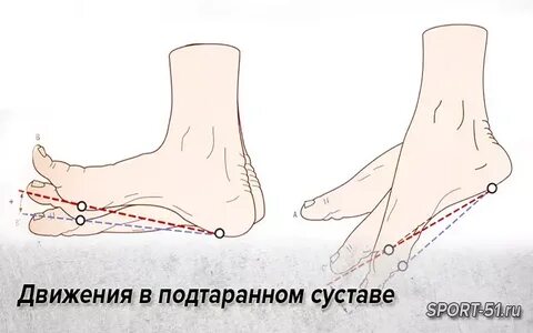 Подтаранный сустав