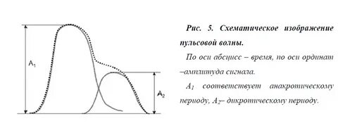 2 пульсовая волна
