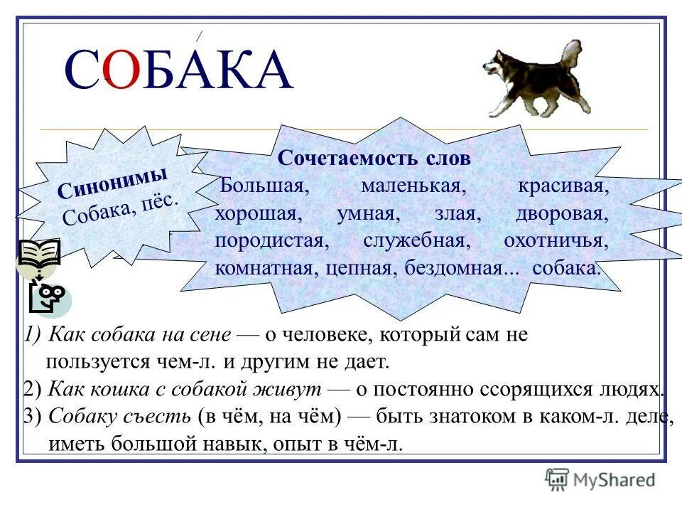 Проверочных синоним. Собака синоним. Проект рассказ о слове собака. Синонимы к слову собака. Рассказы по русскому языку.