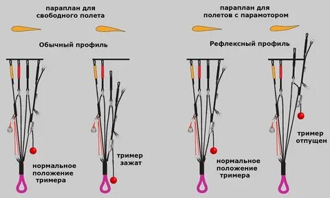 Размер свободных концов