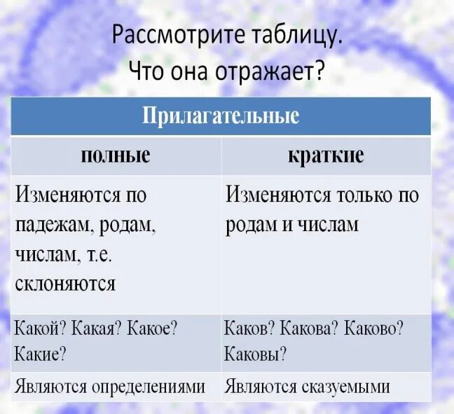 Какие прилагательные употребляются только в краткой форме. Прилагательное полная и краткая форма. Краткая или полная форма прилагательных. Полная форма краткая форма прил. Имя прилагательное полная и краткая форма.