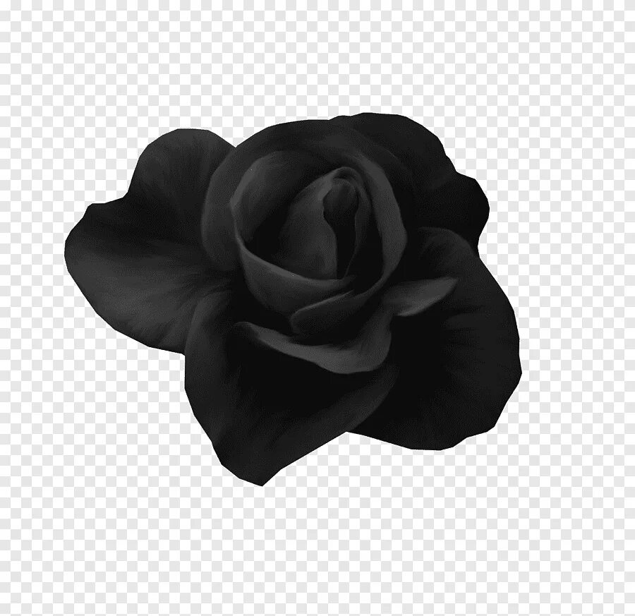 Черная рожден. Цветы без фона. Черный цветочек.
