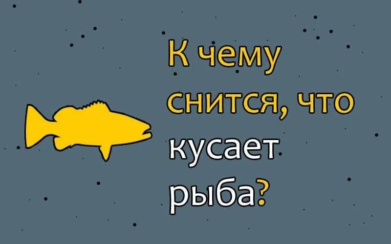 К чему снится рыба. Видеть во сне рыбу. Снится рыбка. К чему снится видеть рыбу. Видеть во сне рыба ест рыбу