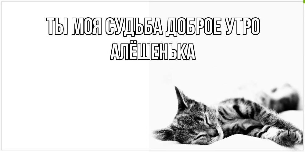 Доброе утро без тебя. Доброе утро ванечка. Открытки с добрым утром с котиками.