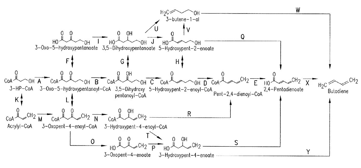 Резонансные структуры дивинил. Дивинил и хлор. Дивинил br2. Дивинил hbr. Ацетат калия этилен дивинил