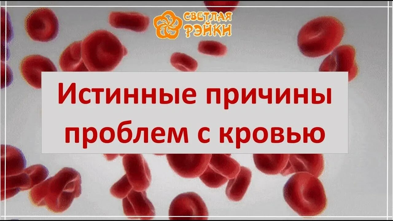 Густая кровь форум