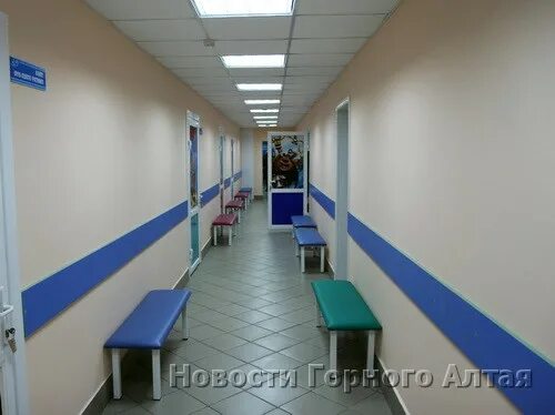 Взрослые поликлиники горно алтайска. Логотип республики алтай. Бюджетное учреждение здравоохранения. Чаптынова 12 горно-алтайск женская консультация. Городская больница горно алтайск.