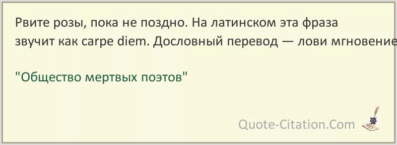 Тату с надписью carpe diem эскизы. Карпе дием тату эскиз. Carpe diem надпись. Эскизы надписи. Carpe diem тату эскиз.
