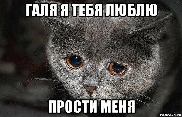 Он днем напишет там извини подруга. Он днем напишет там извини подруга