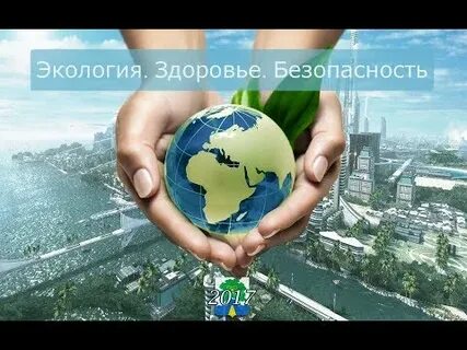 Экологическая безопасность 2020