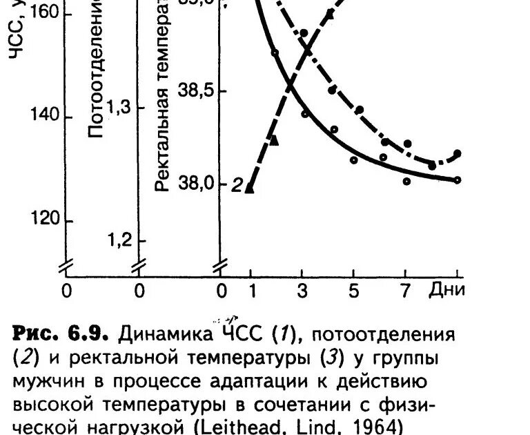 Какая температура после физической нагрузки. Физическая нагрузка повышение температуры. Изменение температуры при физической нагрузке. Физические нагрузки при температуре. Температура тела человека при физических нагрузках.