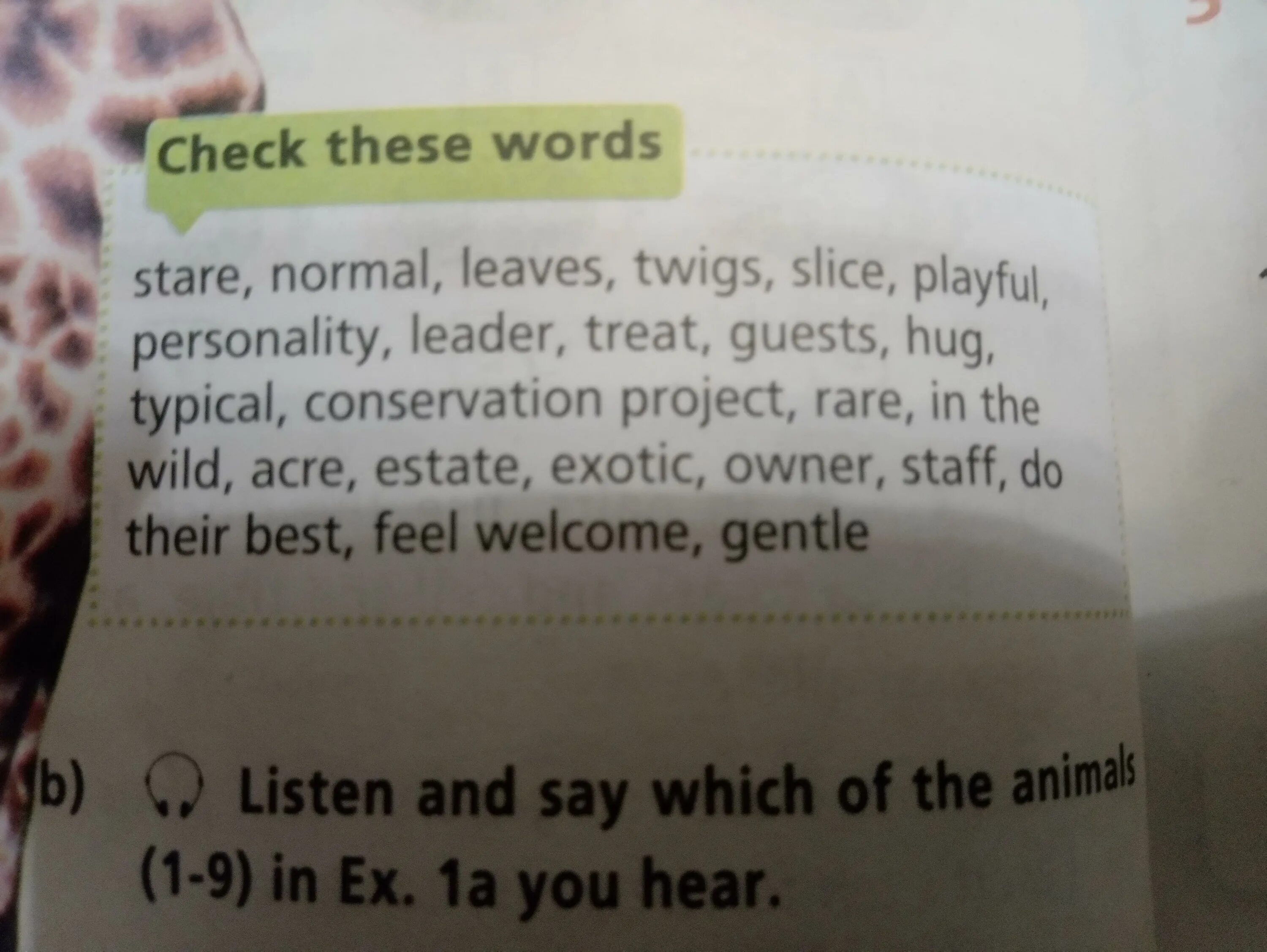 Check your words. Check your words