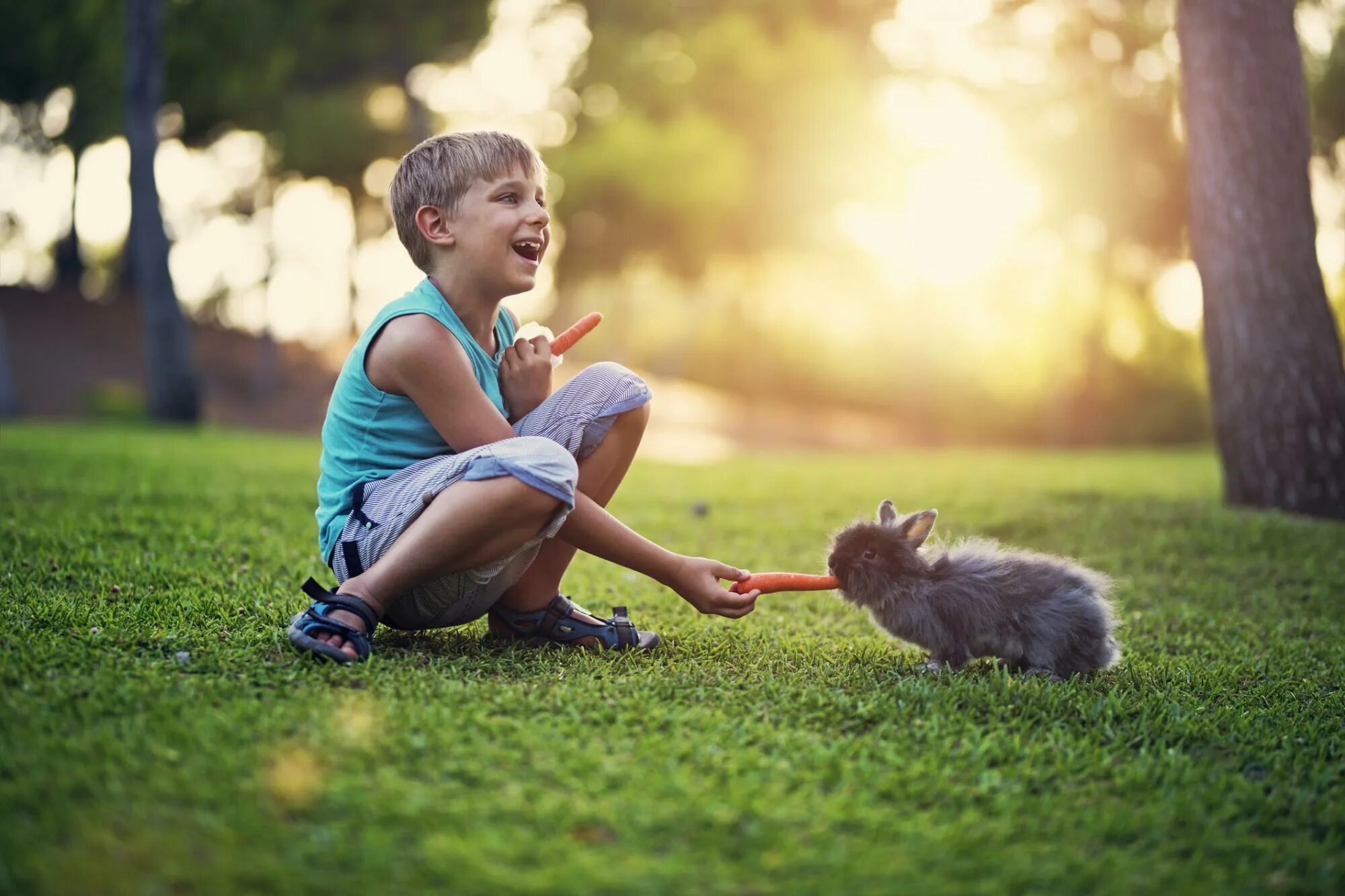 If you show kindness an animal it. Мальчик с кроликом в руках. Мальчик кормит зайца фото. Девочка кормит котенка. Мальчик кормит кота.