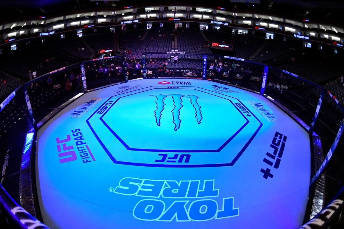 Абу даби арена ufc. Октагон запатентован ufc. Бойцовский ринг юфс. Октагон ринг восьмиугольник. Ufc арена октагон.