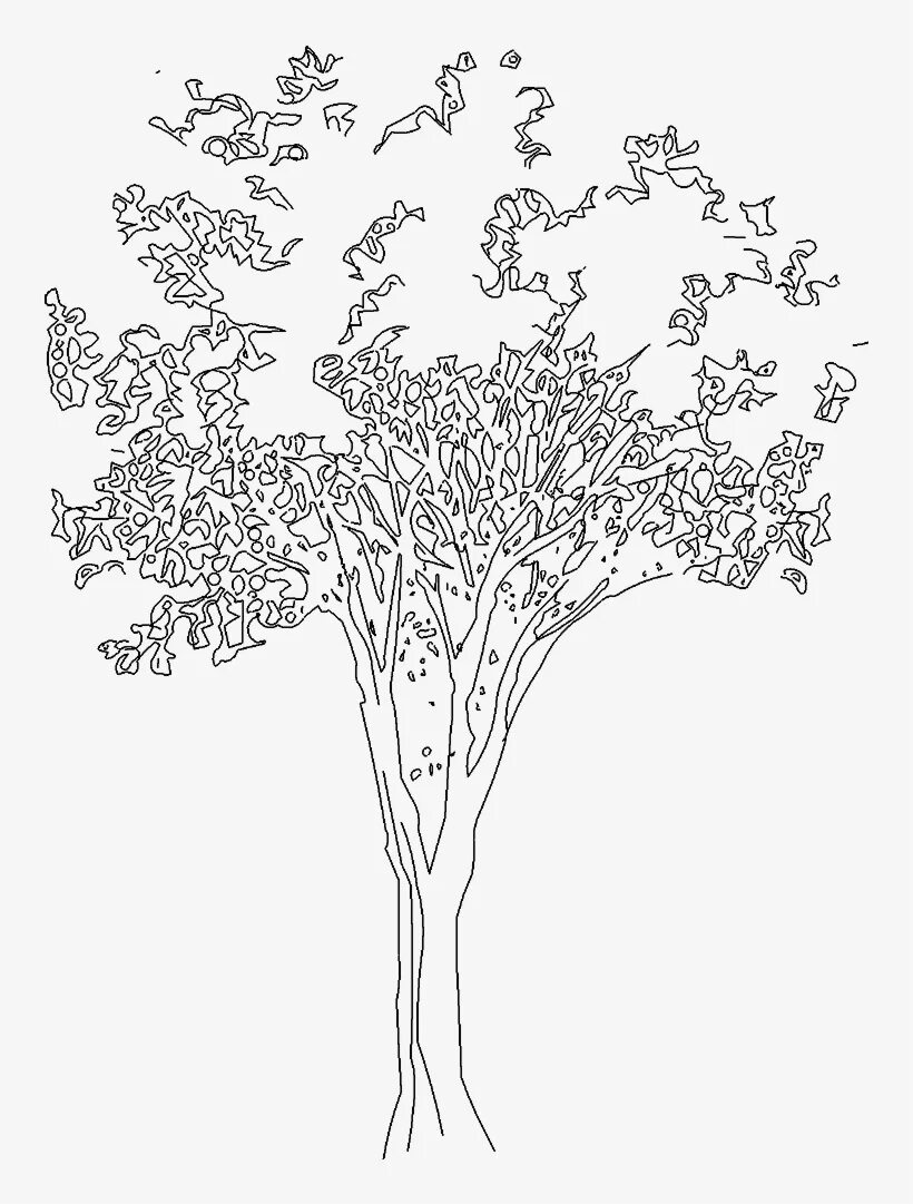 Дерево чертеж. Графичные деревья. Антураж деревья. Дерево Графика без фона. Линейное дерево.
