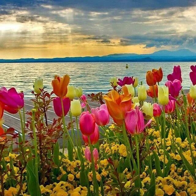VISIT GREECE Spring blossom #visitgreece #greece Закаты, Красивые места, Путешес