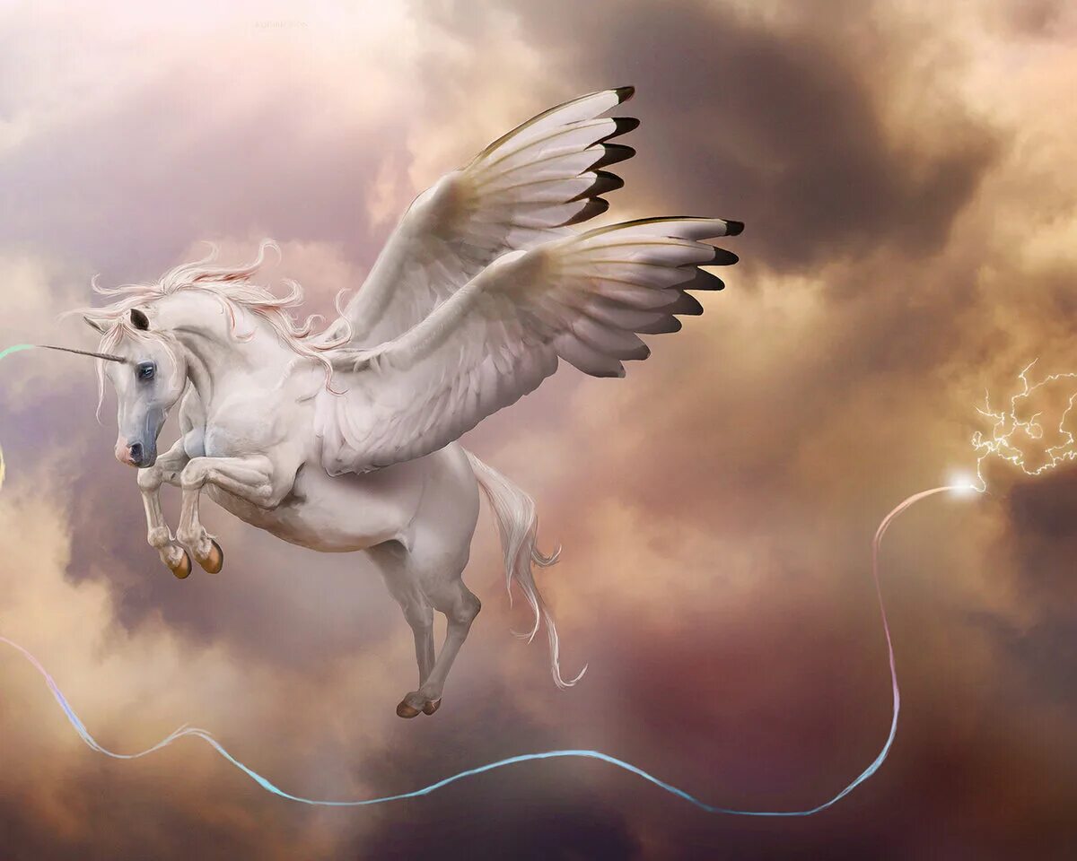 Что такое крылатое диво. Пегасы и Единороги арт. Пегас Единорог. Летающая лошадь.