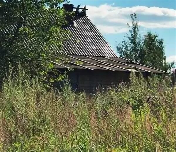 Деревня егорьевское
