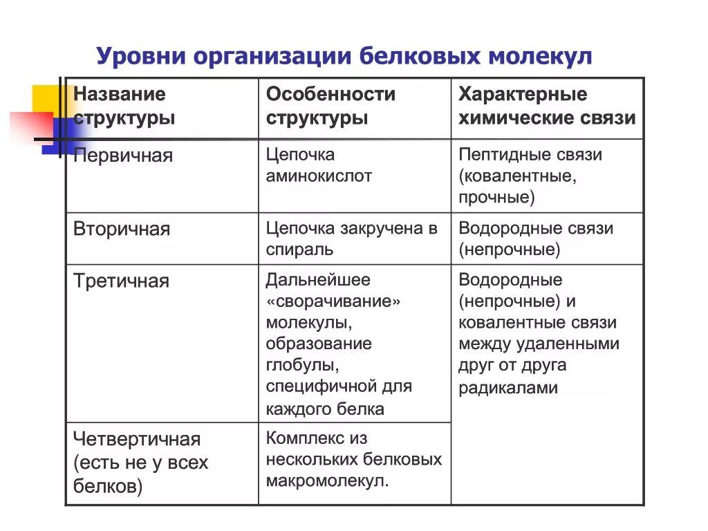 Уровни организации молекул белка таблица