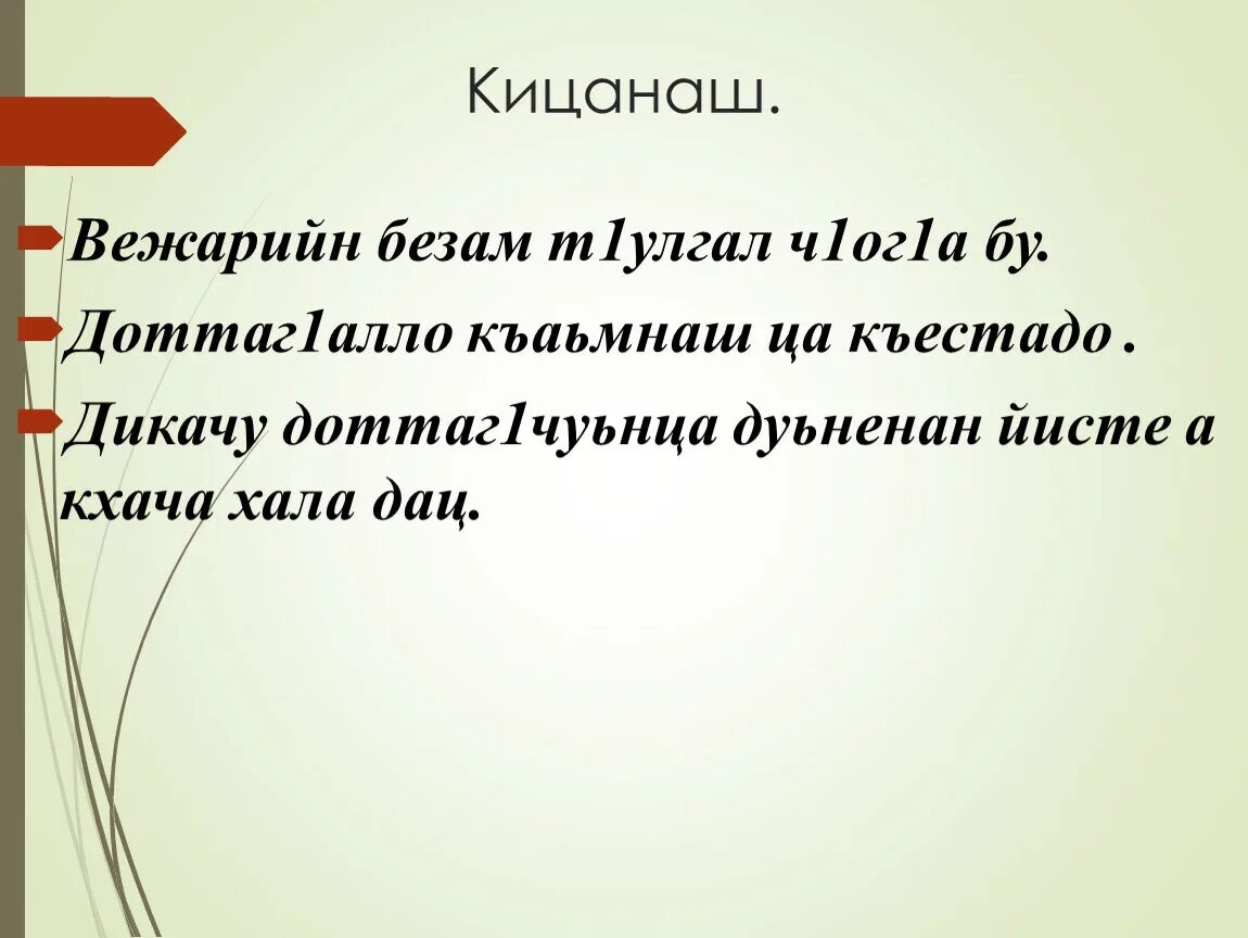Г1иллакх оьздангалла кицанаш. Кицанаш на чеченском. Оьздангалла кицанаш. Кицанаш на чеченском языке. Кицанаш на чеченском языке.