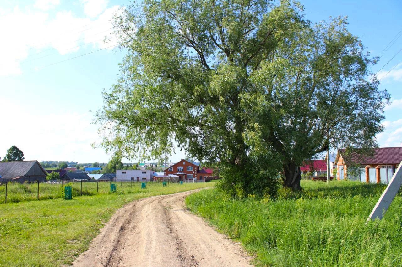 Новый Кинер Арский район. Село новый Кинерь Арского района. Старый ашит Арский район Татарстан. Деревня новый Кинер Арского района Татарстан. Погода на месяц арск татарстан