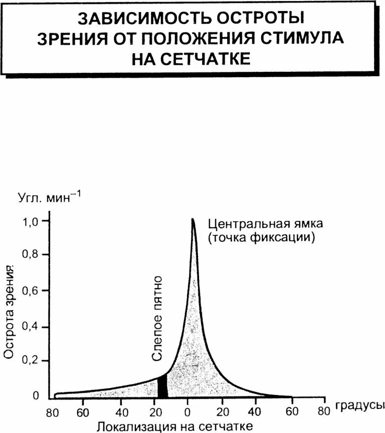 От чего зависит острота зрения. Острота зрения в зависимости. График зависимости остроты зрения. Ретиналтная остроты зрения. График зависимости остроты зрения от возраста.