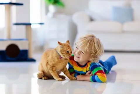 Petting little
