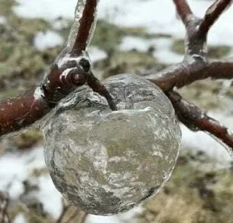 When freezing