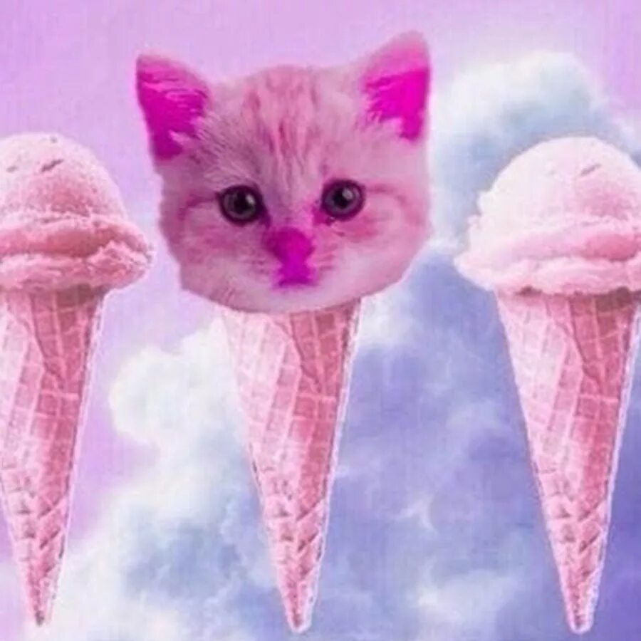 Мороженое с кошечкой. Кошка мороженка. Кошачье мороженое. Кошка с мороженым. Коты мороженщик
