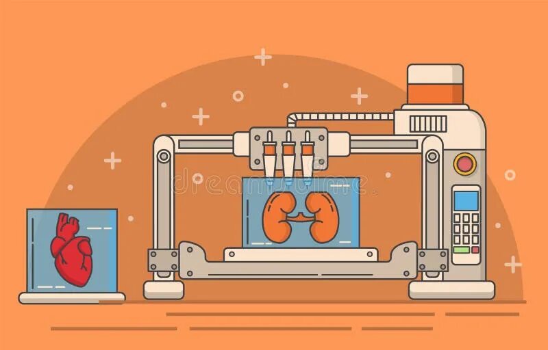 Печатать органы. 3d принтер биопринтер. Печать органов на 3d принтере. Зд принтер печать органов. Биопринтер для печати органов.