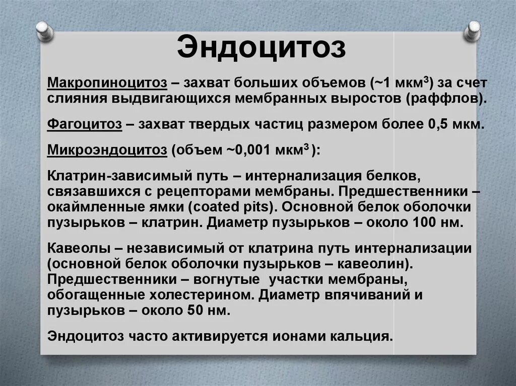 Этапы эндоцитоза. Эндоцитоз виды. Значение эндоцитоза. Эндоцитоз это кратко. Эндоцитоз разновидности.