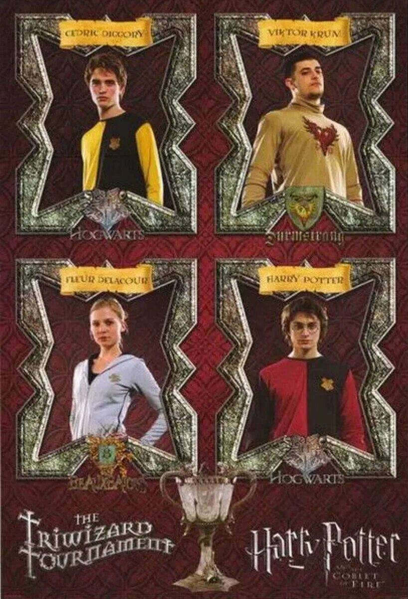 Harry did you put your name in the goblet of fire. Мемы 2021 гарри поттер. Флёр виктор седрик гарри. Кто бросил имя в кубок огня. Кубок огня из гарри поттера.