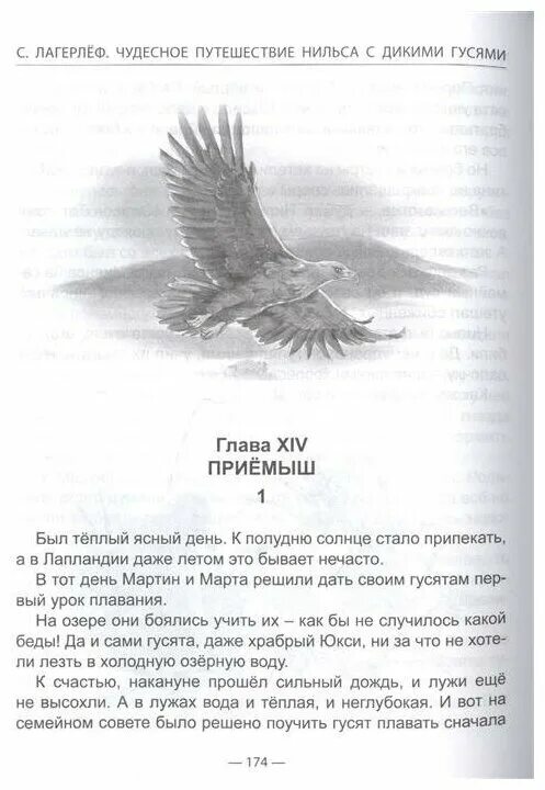 Книга чудесное приключение нильса с дикими гусями. Лагерлеф с. Чудесное путешествие с дикими гусями. Сельма лагерлёф «чудесное путешествие нильса». Сказка лагерлеф путешествие нильса.