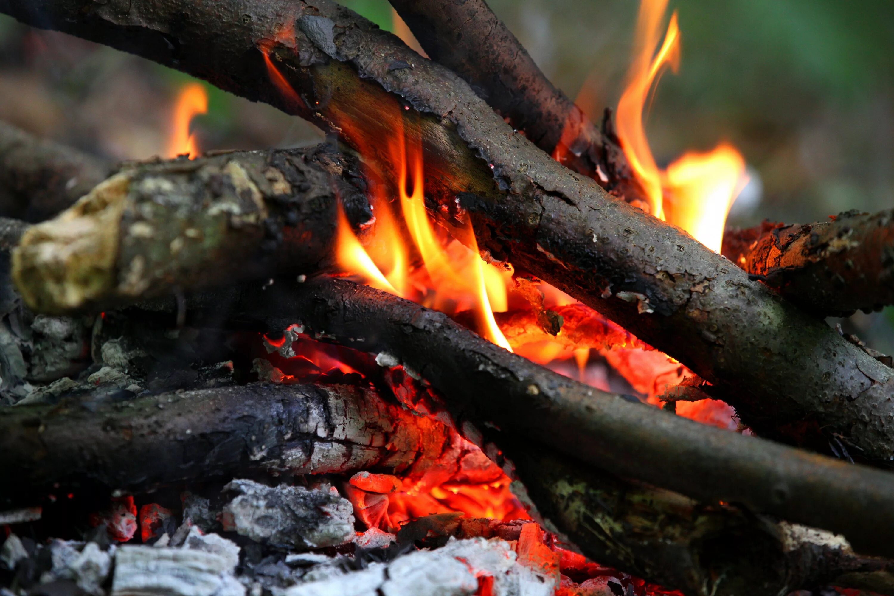 Горение экрана. Fire. Огонь картинка. Горение картинка. Горение города.