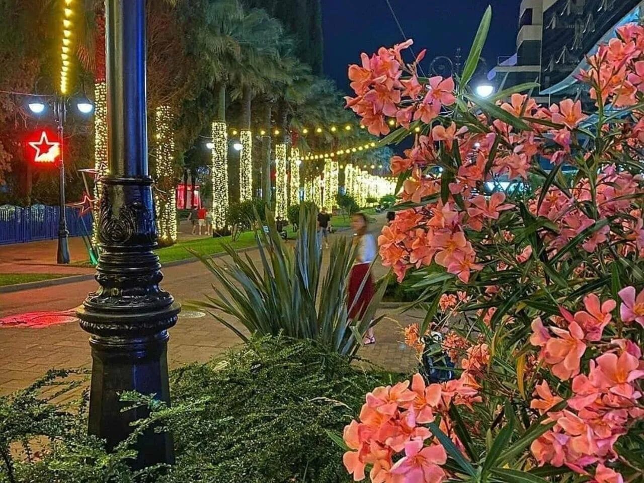 Адлер куда сходить вечерком. Адлер ночью. Вечером в адлере куда. Ночной сочи. Адлер сочи парк.