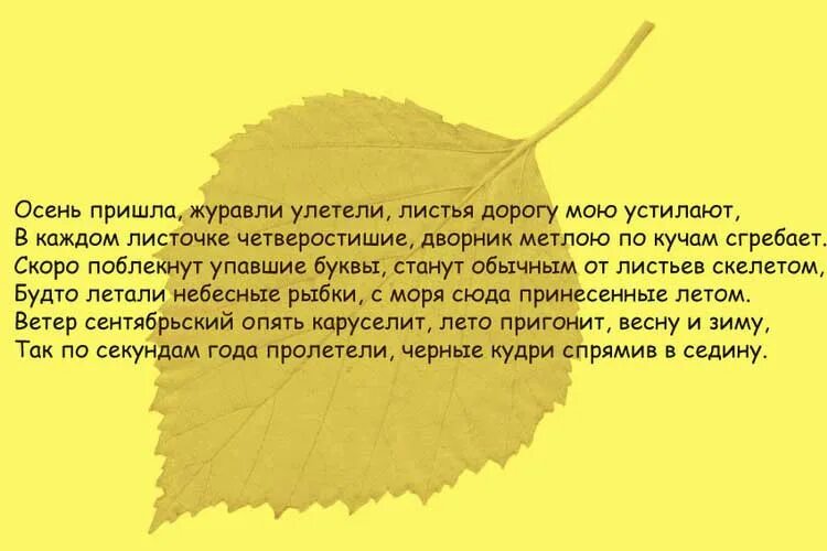 Текст 3 листа. Карточки по русскому языку 3 класс текст для списывания. Тексты для списывания 4 класс 4 четверть школа россии. Русский язык 1 класс задания. План к тексту последний лист орешника.