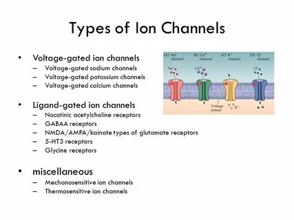 Channel type
