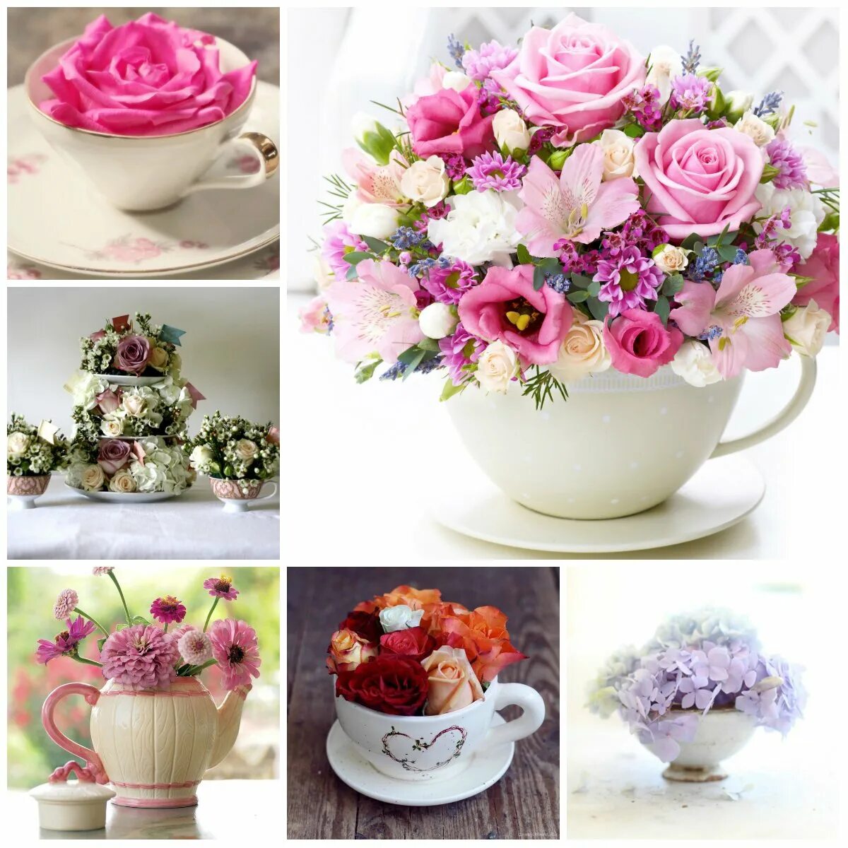 Фотокниги чашка цветы. Цикломеновые цветы чашка. Falling Cup Flower DIY. Small Flower Arrangement in a Mug. Cups flowers