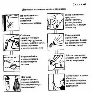 Действия населения после