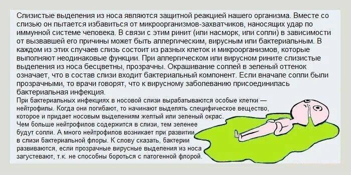 Может ли быть кашель и сопли. Почему появляются сопли. состав соплей у человека.