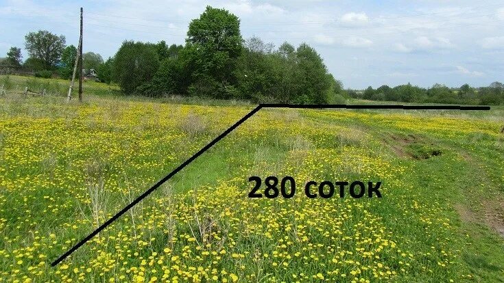 Сотка. Участок 6 соток размеры. Участок 5 соток. 50 соток земли. 100 соток земли.