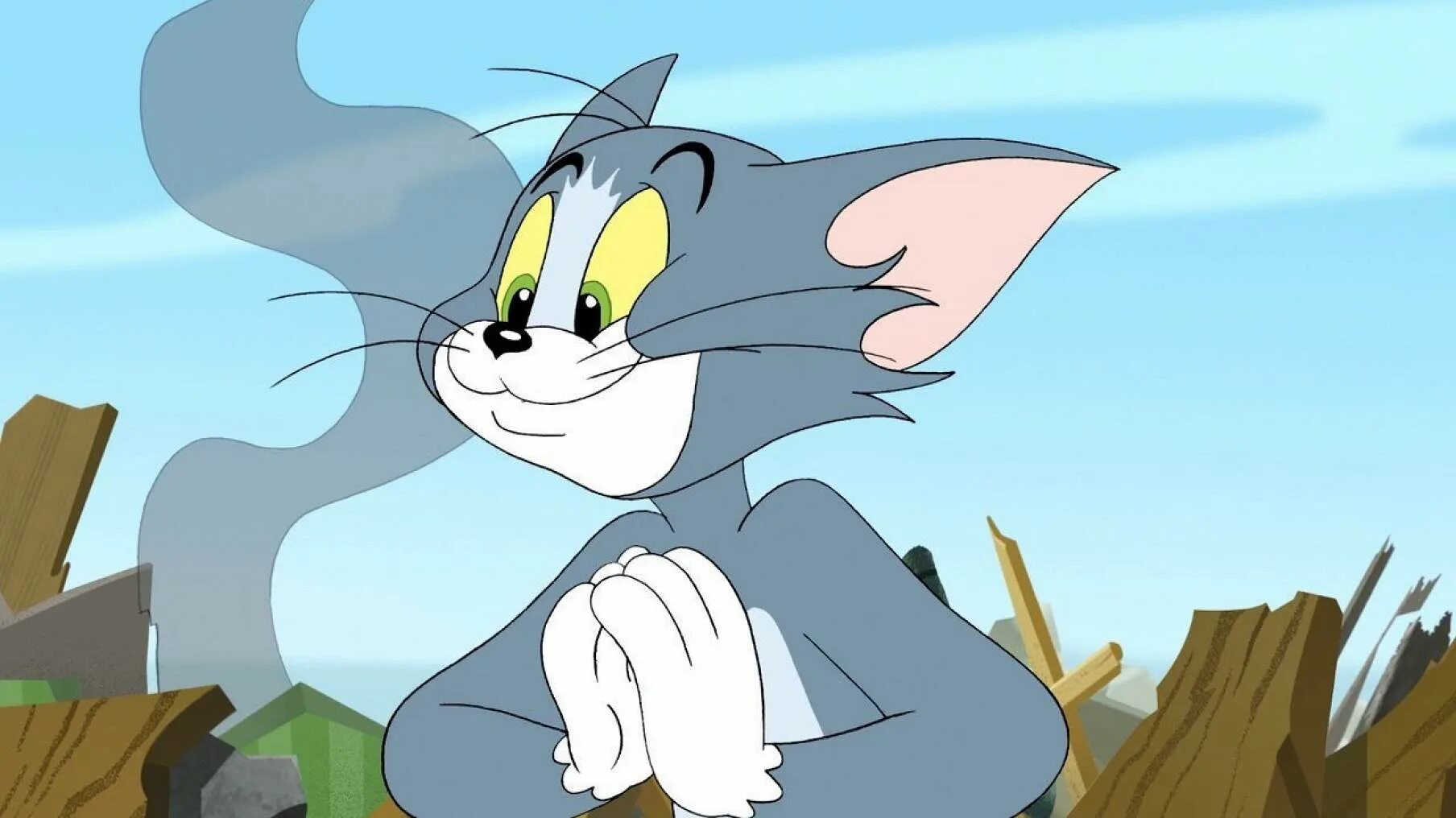 Том из тома и джерри. Tom and Jerry. Том и Джерри Tom and Jerry. Том и Джерри 2005. Том и Джерри 2001.