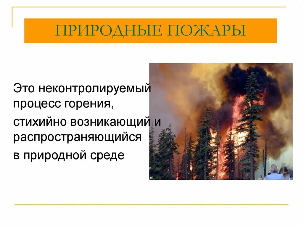 Пожары относятся к чс. Пожары природного характера. Природные пожары ЧС природного характера. Природные пожары по характеру горения. Природные пожары ОБЖ.